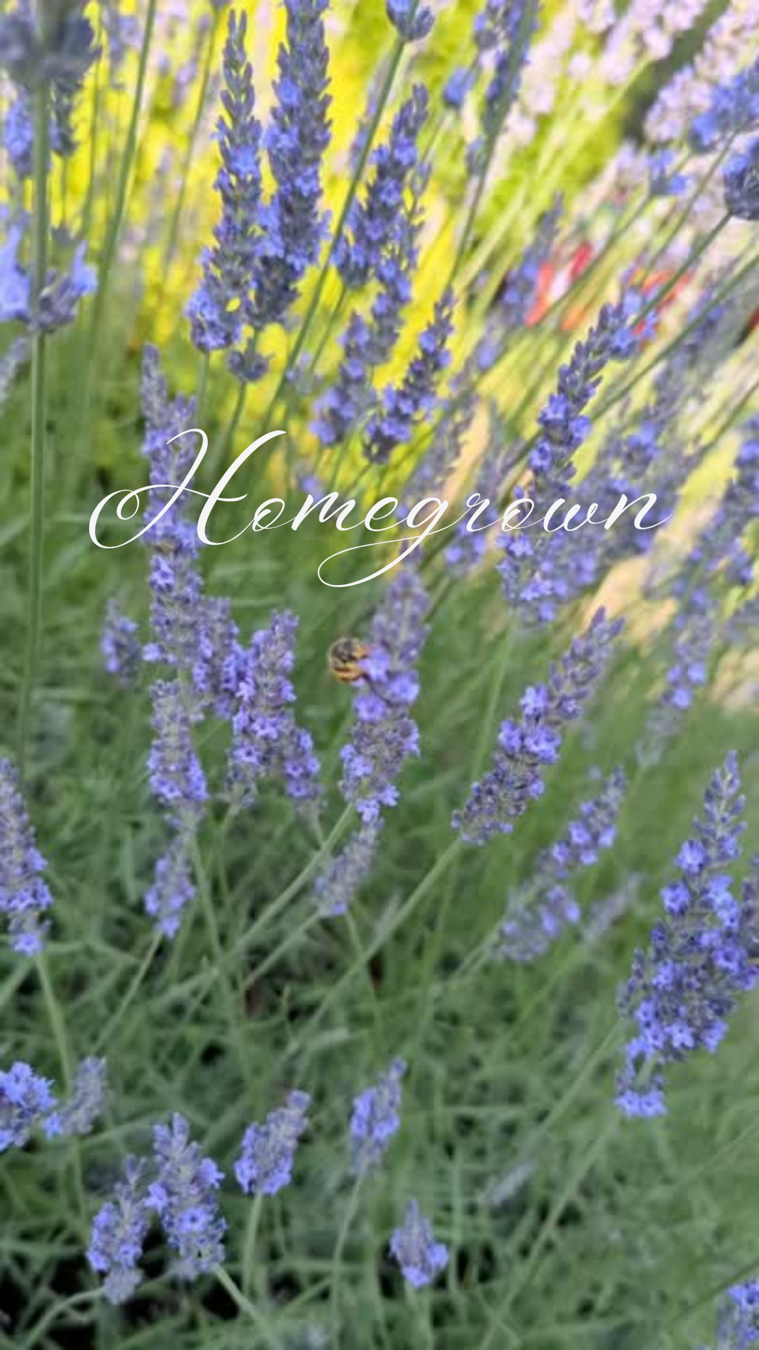 Lavender Flower Jar