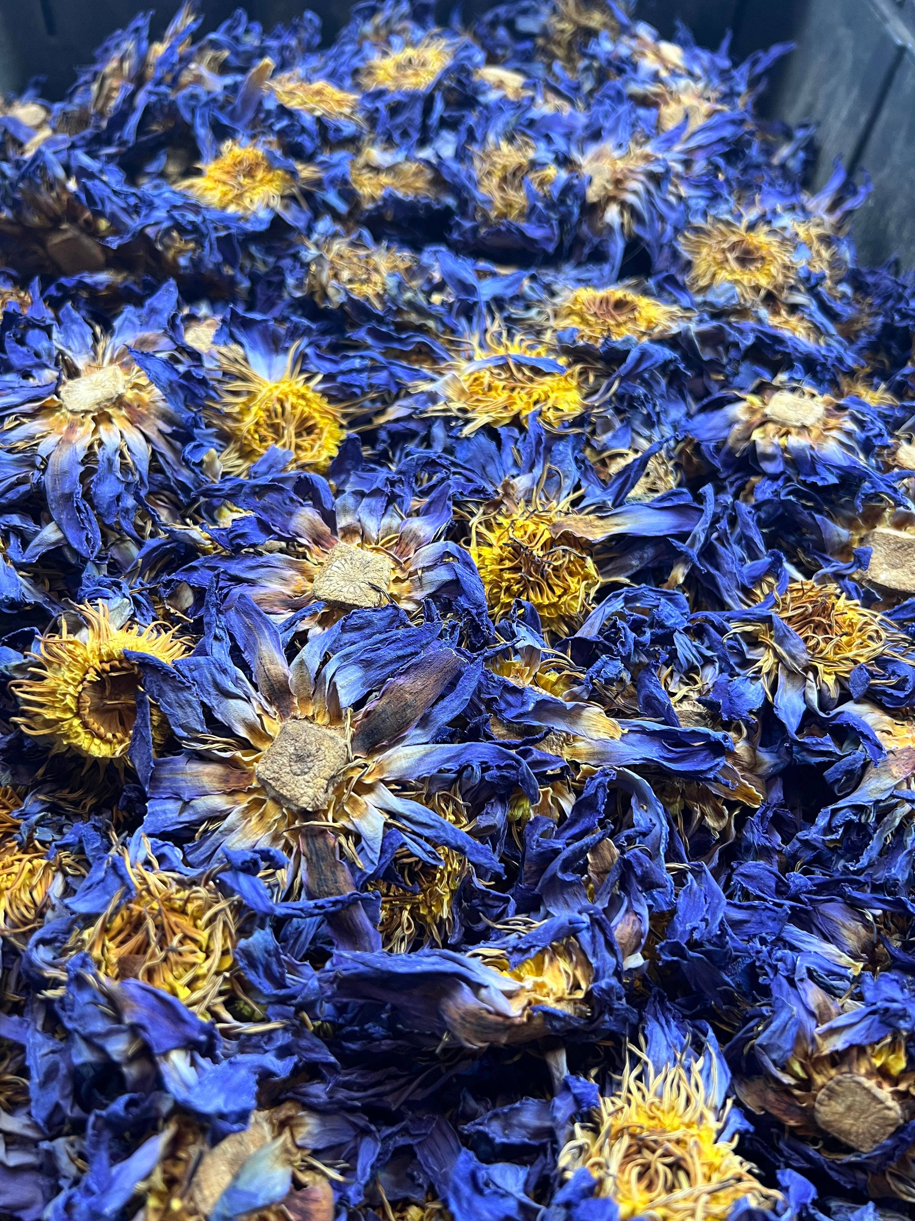 Blue Lotus Whole Flower | 2oz - 1 KG | Bulk