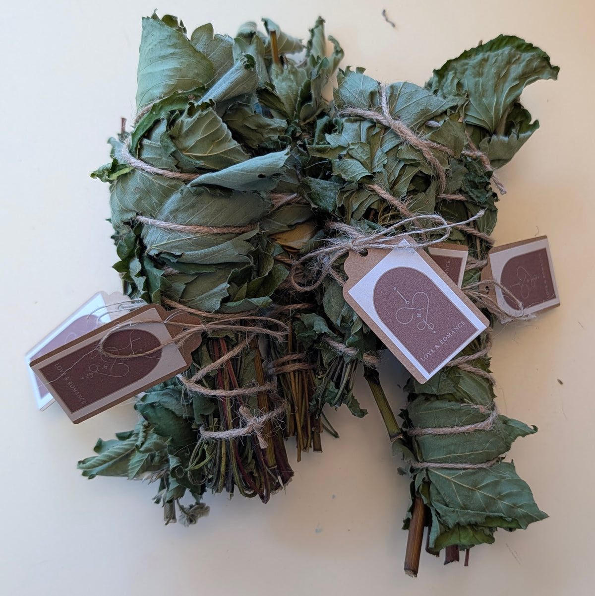 Botanical Ritual Smudging Wands Collection